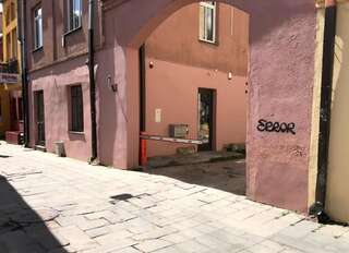 Апартаменты Kaunas Old Town Apartment Каунас Апартаменты-64